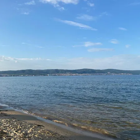 Paradiso 'в' 111 Large *