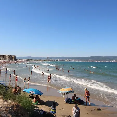 Paradiso 'в' 111 Large نيسيبار